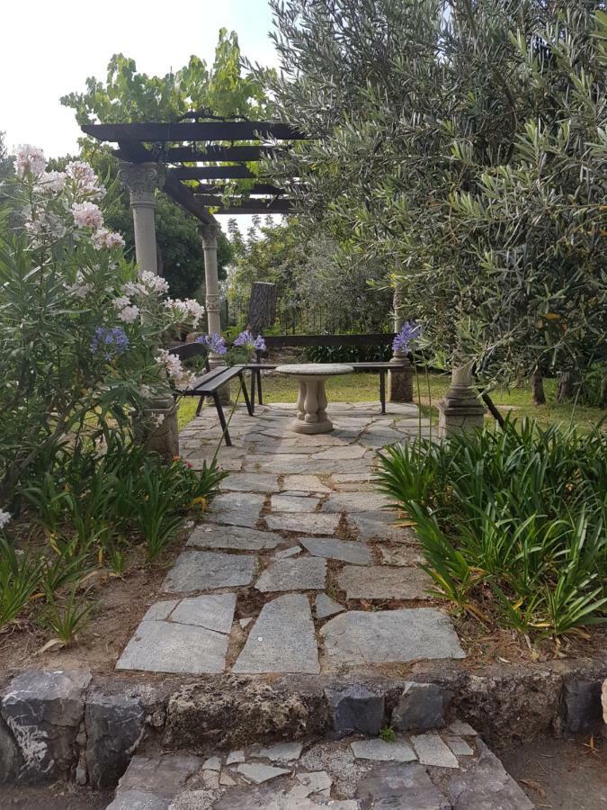 Cisano sul Neva Villa Fior Di Lavanda מראה חיצוני תמונה
