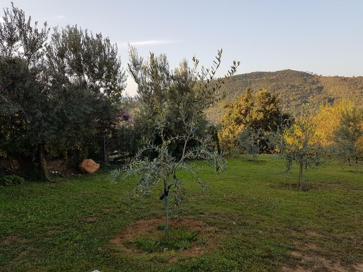 Cisano sul Neva Villa Fior Di Lavanda מראה חיצוני תמונה